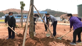 梧州市举行2020年义务植树活动