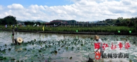 2021年梧州市庆祝中国农民丰收节活动在龙圩区举行